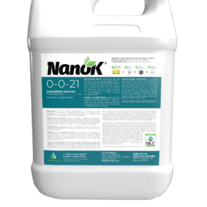NanoK