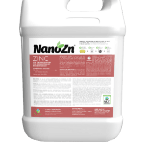 NanoZn