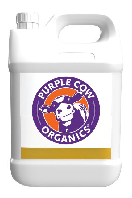 BIOACTIVE LiquiLife+